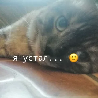 Стикер рик пушка гонкаа улёт вообще - 0