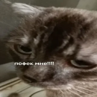 Стикер рик пушка гонкаа улёт вообще - 8