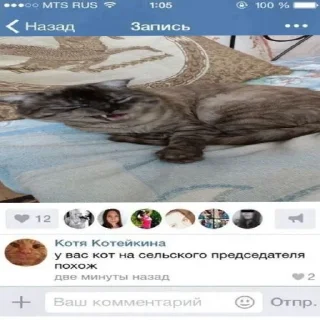 Стикер рик пушка гонкаа улёт вообще - 4