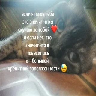 Стикер рик пушка гонкаа улёт вообще - 3