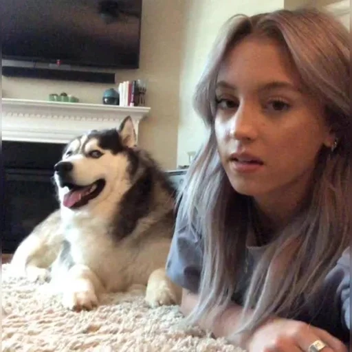 Человек домашнее животное комнатный