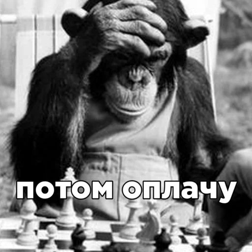 Sticker rimBVkhoGBxzQF_by_stickers_stealer_bot - 1