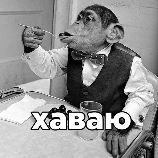 Sticker rimBVkhoGBxzQF_by_stickers_stealer_bot - 1