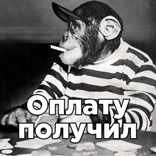 Sticker rimBVkhoGBxzQF_by_stickers_stealer_bot - 1