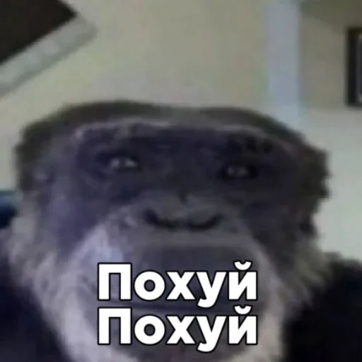 Sticker rimBVkhoGBxzQF_by_stickers_stealer_bot - 1