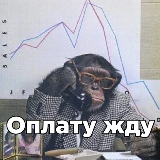 Sticker rimBVkhoGBxzQF_by_stickers_stealer_bot - 1