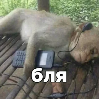 Стикер Больше стикеров: @sticerru - 6