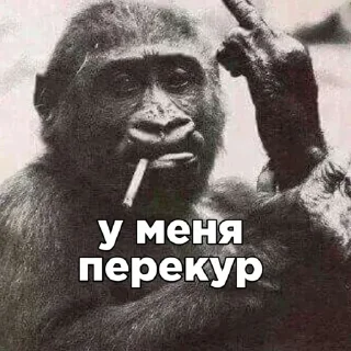 Стикер Больше стикеров: @sticerru - 9