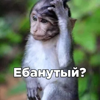 Стикер Больше стикеров: @sticerru - 11