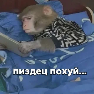 Стикер Больше стикеров: @sticerru - 10