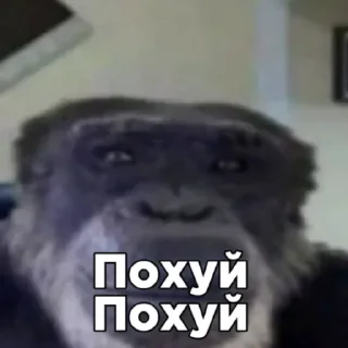 Стикер Больше стикеров: @sticerru - 2