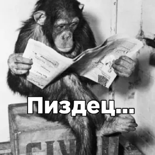 Стикер Больше стикеров: @sticerru - 4