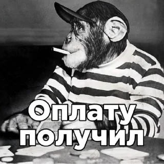 Стикер Больше стикеров: @sticerru - 3