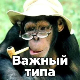 Стикер Больше стикеров: @sticerru - 7