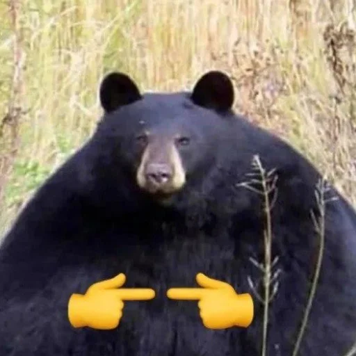 Стикер это между прочим не окей - 6