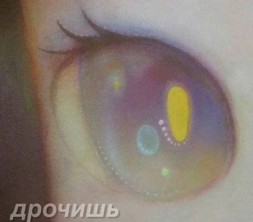 closeup organ eyelash