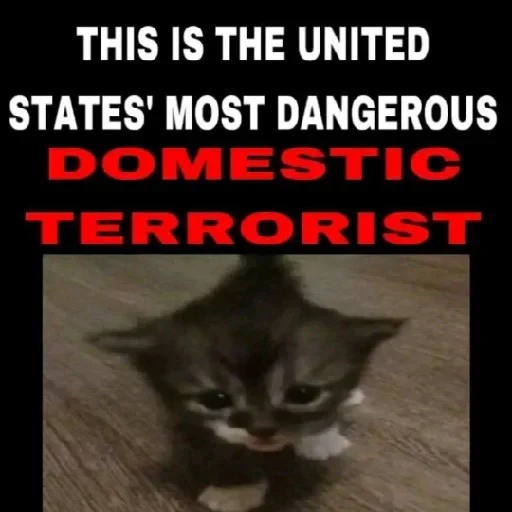 Sticker riodejaneirofilter - 1