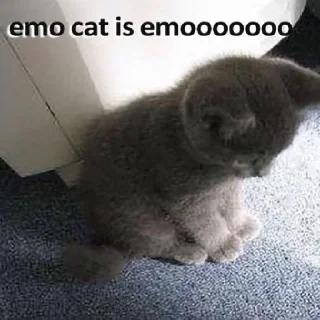 Sticker @kapechto rio de janeiro - 6