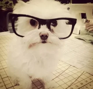 Sticker @kapechto rio de janeiro - 9