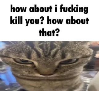 Sticker @kapechto rio de janeiro - 8