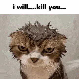 Sticker @kapechto rio de janeiro - 7