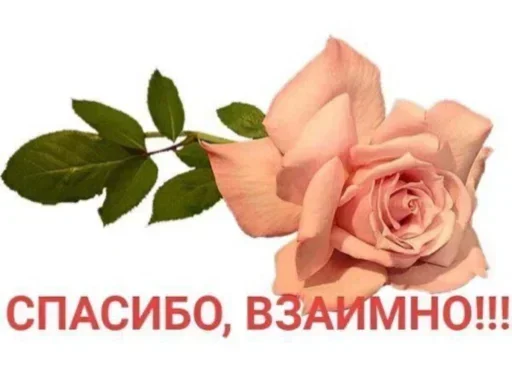 Sticker ripzNlwutjXpQHGQ_by_stickers_stealer_bot - 1