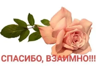 Стикер Больше стикеров 👉🏻 @stickertg4 - 5