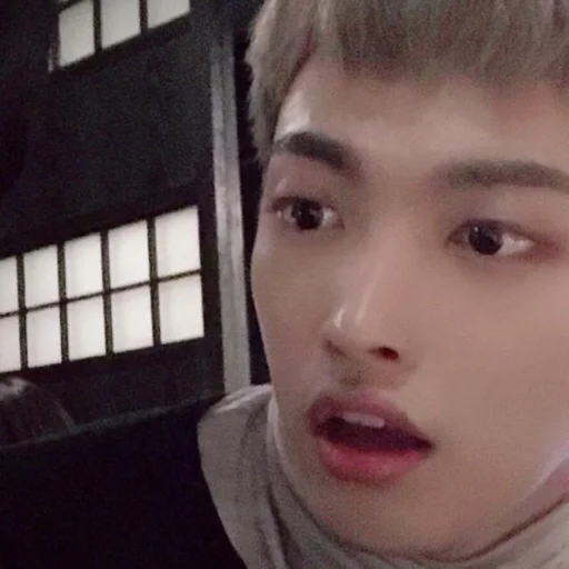 человеческое лицо Человек бровь