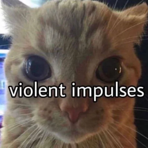 Sticker risottotitties - 1