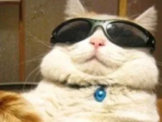 Sticker Рита мем 2 - 7