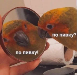 Sticker Рита мем 2 - 2