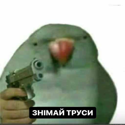 птица оружие попугай