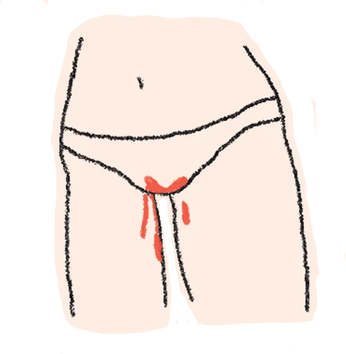 Стикер everyday rituals🐚 - 2