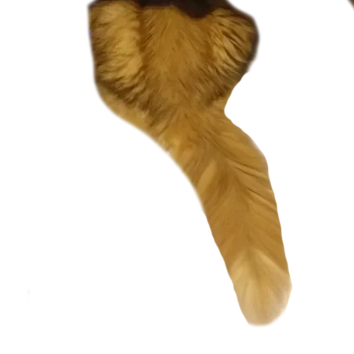 Sticker rizhopul - 1