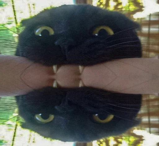 Sticker rizhopul - 1