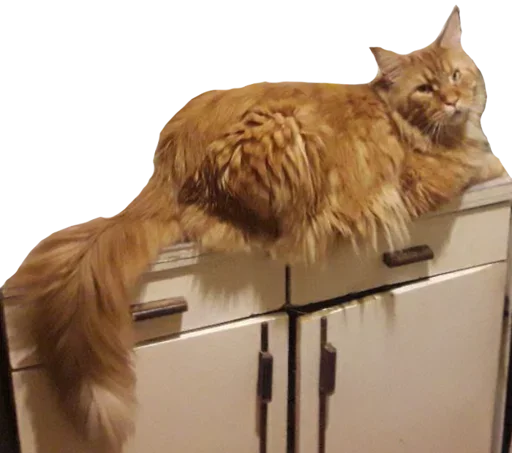 Sticker rizhopul - 1