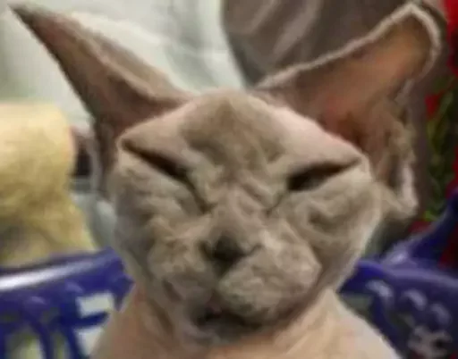 Sticker rizhopul - 1