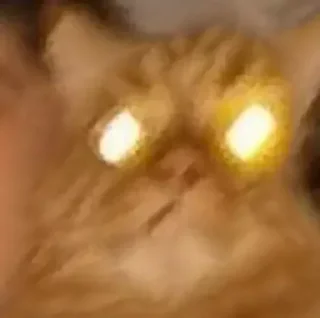 Стикер Cats 1.0 by Arsenus - 3