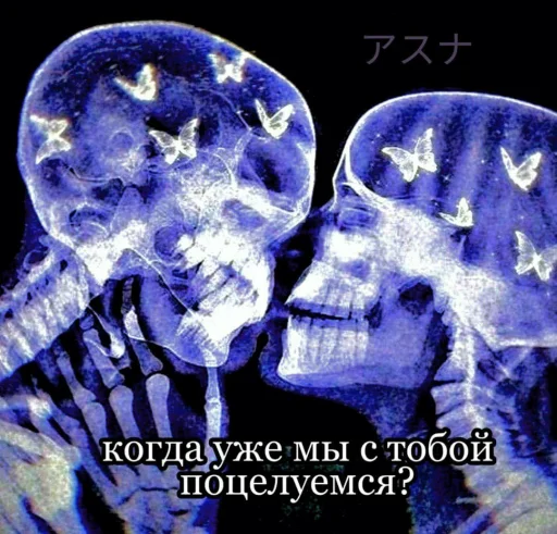 рентгеновская пленка искусство