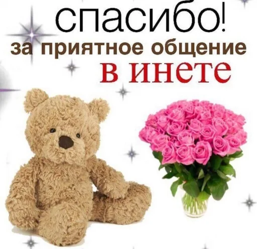 teddy text teddy bear