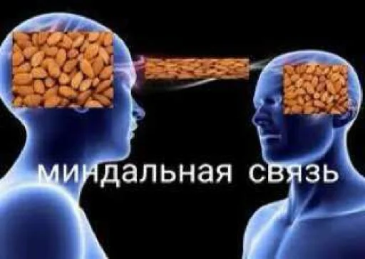 Sticker ржака 13 @rjakasticks - 8