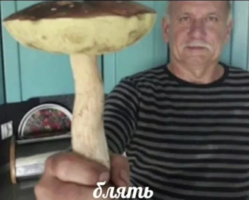 Sticker ржака 16 @rjakasticks - 5