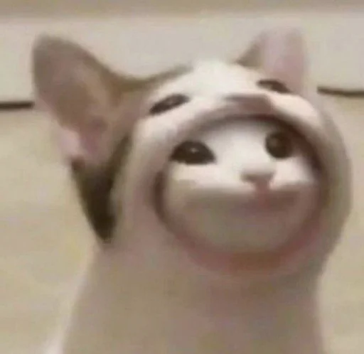 ржака 18 @rjakasticks - 