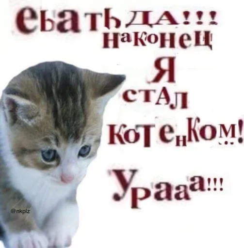 Стикер ржака 18 @rjakasticks - 5