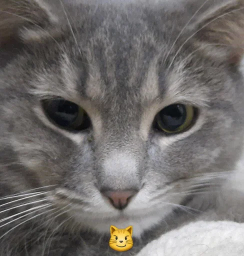 ржака 19 @rjakasticks - 