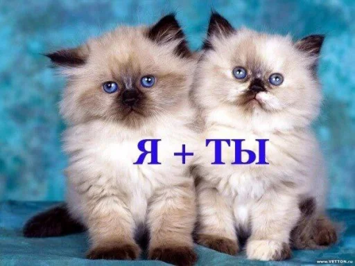 Sticker ржака 19 @rjakasticks - 11