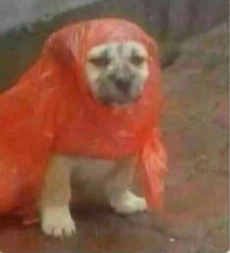 Sticker ржака 19 @rjakasticks - 0