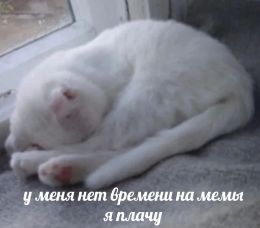 Стикер ржака 20 @rjakasticks - 7