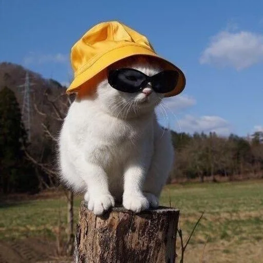 Стикер ржака 4 @rjakasticks - 8