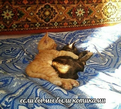 Стикер ржака 4 @rjakasticks - 0